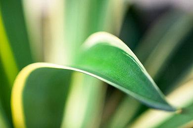 《巫师3》HD重制Mod次世代版新视频 令人惊叹！